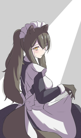 robin maid 4