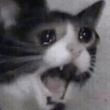 uff