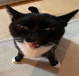 1743076164681897