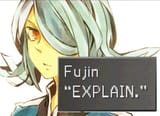 fujinexplain2