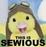 this is sewious