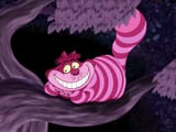 cheshire