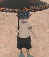 ffxiv_dx11_wV3IP79G3F