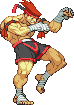 adon-sp8