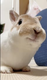 GuXGMsxbUAAdIZm