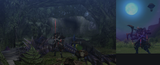 forest garuga