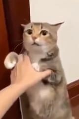 1733552232956640