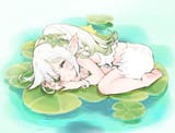 lilypad nahida zzz