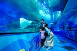 SEA-LIFE-Busan-Aquarium-with-Lotte-Duty-Free-Discount-Voucher-6e934f26-af30-48bc-9be9-128c7c62260f