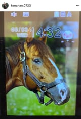 ikezoe_ken&#039;ichi__durandal_(horse)____e430a57eae149338a0e2ba7427f5223e