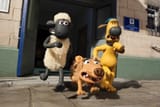 shaun1_jpg