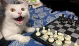 1746409305704