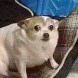 1496116307408