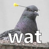 34557