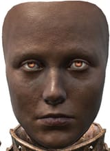 Brown Tranny