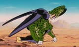 cell kneel