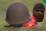 snaildyer