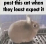 1744018156976937