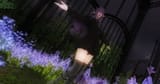 ffxiv_dx11_U8pjPzWJcO