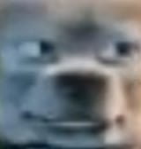 1750174490757972