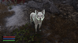 fox unrelated