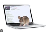 theREALmouse