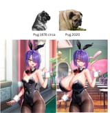 もっと！孕ませ！炎のおっぱい異世界_おっぱいバニー学園！hbunny (27) - Copy