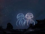 Elden Ring - Spirit Jellyfish Aurelia &amp; Aureliette