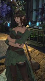 ffxiv_06252025_114000_865