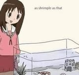 as shrimple as that