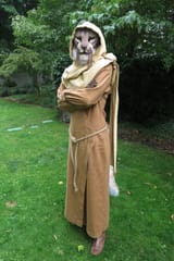m_aiq_the_liar_cosplay_3_by_talaayacosplay_d98b29o-fullview