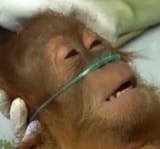 mfw at elation niggas so far