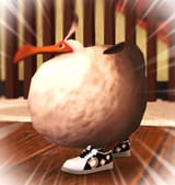 dodo