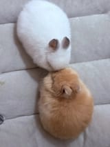 GtvBgJyWcAAmnmM