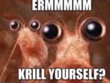 krill y