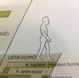1723012994315022