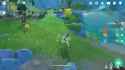 Melee succ_thumb.jpg