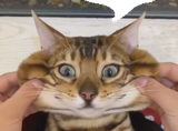 (you)