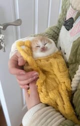 blankybaby