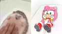 rub the hog_thumb.jpg