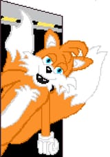 Tail but he Foxy