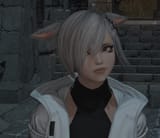 dumbasscat2