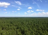 FlatPine