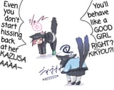 kazusa cat vs kickyou cat