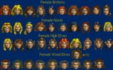 official daggerfall cuties