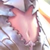 AngelTummy