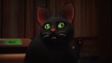 retard cat