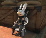 midget miera