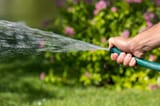 man-holds-garden-hose-his-hand-watered-plants-pinched-edge-hose-better-spraying-water_160152-265