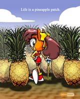 Sxc_tiara_pineapple